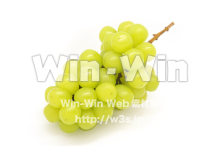 マスカットの写真素材 W-020448