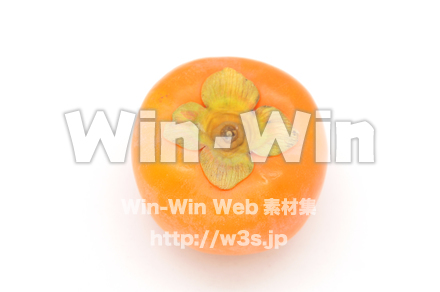 柿の写真素材 W-020436