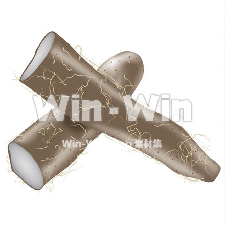 山芋のCG・イラスト素材 W-021909