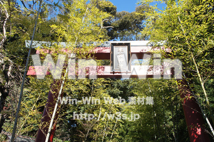 熱海未宮神社の写真素材 W-021748