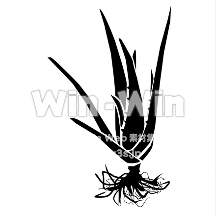 アロエのシルエット素材 W-020934