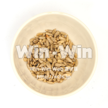 ひまわりの種の写真素材 W-021837