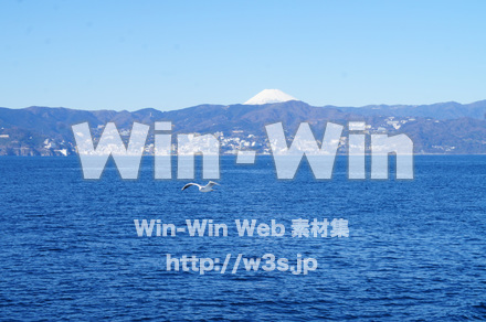 熱海港の写真素材 W-021744