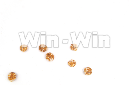 タイガーナッツの写真素材 W-021788