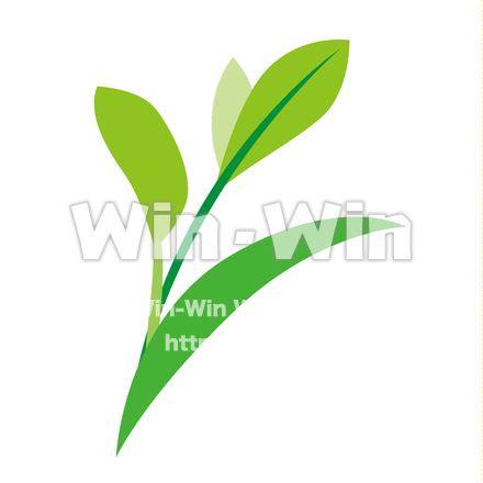 茶葉のCG・イラスト素材 W-021268