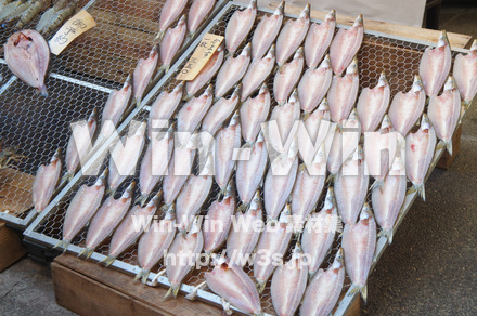 干物の写真素材 W-021551