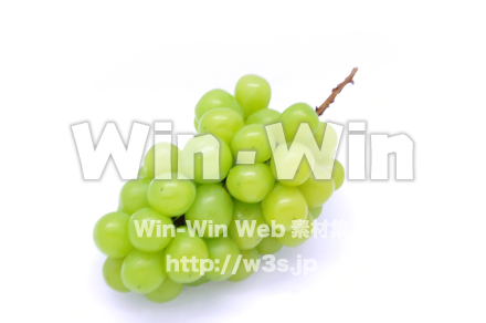 マスカットの写真素材 W-020446