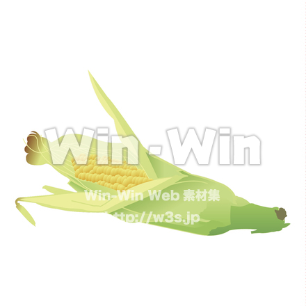 とうもろこしのCG・イラスト素材 W-020085