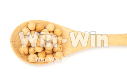 ひよこ豆の写真素材 W-021067