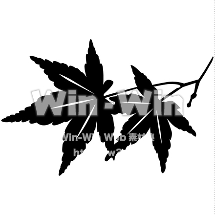 楓のシルエット素材 W-021889