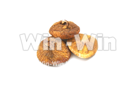 白イチジクの写真素材 W-020793