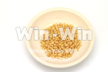 玄米の写真素材 W-020534