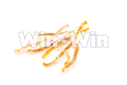 スルメイカの写真素材 W-021352