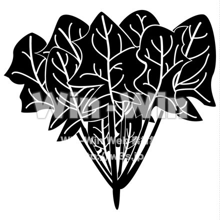 ほうれん草のシルエット素材 W-021241