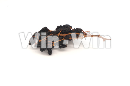 枝付干しぶどうの写真素材 W-020493