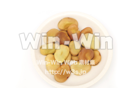 そらまめの写真素材 W-021072