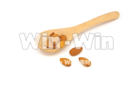 アーモンドの写真素材 W-021012