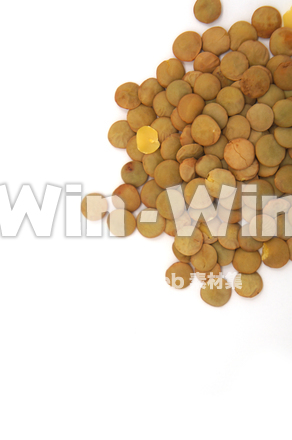 緑レンズ豆の写真素材 W-021015