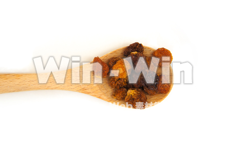 ゴールデンベリーの写真素材 W-021973