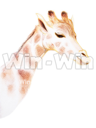 麒麟の写真素材 W-020606