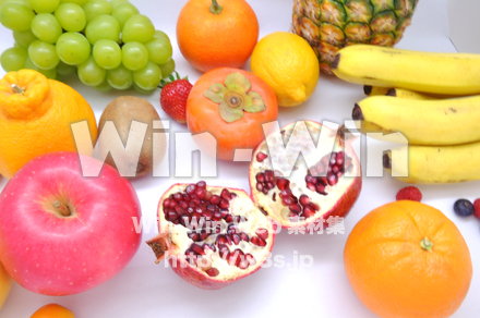 ザクロの写真素材 W-020428