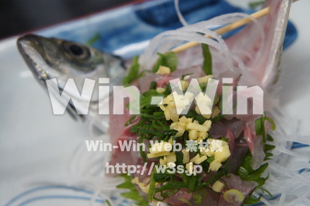 あじのたたきの写真素材 W-021521