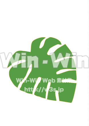 モンステラのCG・イラスト素材 W-021927