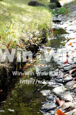 小川の写真素材 W-021204