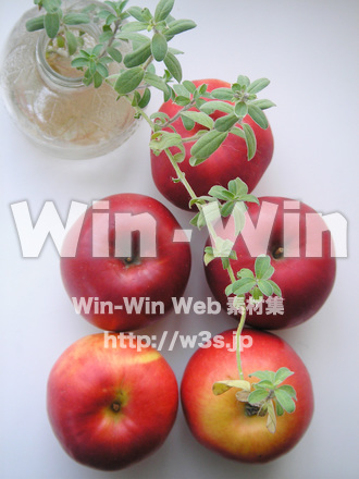 林檎の写真素材 W-020596