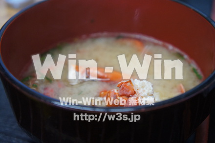 伊勢エビの写真素材 W-021529