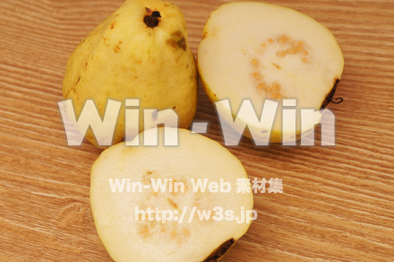 グアバの写真素材 W-021134