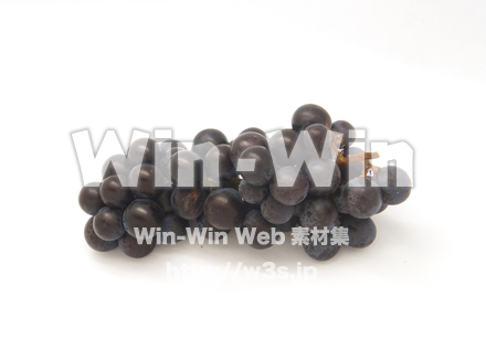 スチューベンの写真素材 W-020431