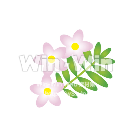 はなのCG・イラスト素材 W-020102
