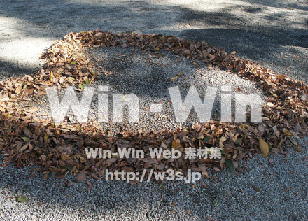 葉っぱのハートの写真素材 W-021749