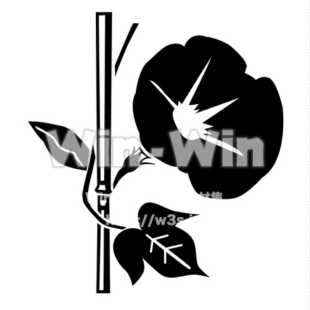 朝顔のシルエット素材 W-020942