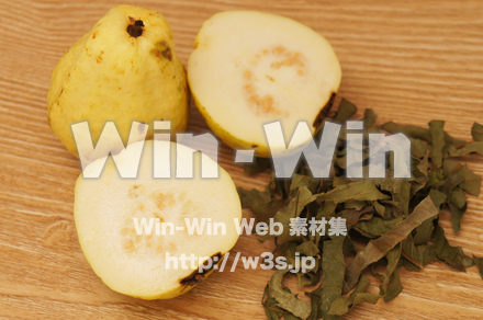 グァバ茶葉の写真素材 W-021144