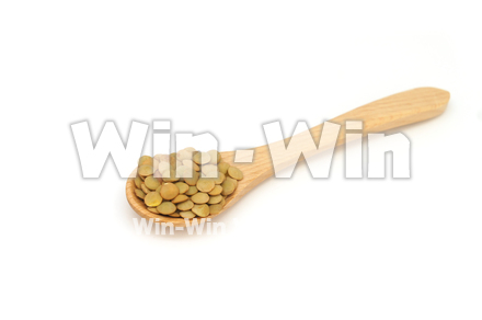 緑レンズ豆の写真素材 W-021017