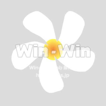 プルメリアのCG・イラスト素材 W-021939