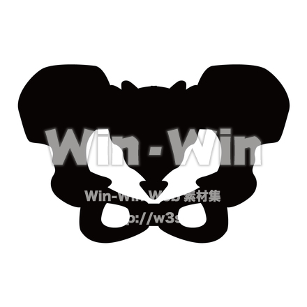 骨盤のシルエット素材 W-020003