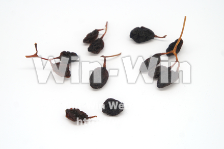 枝付干しぶどうの写真素材 W-020494