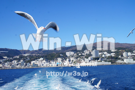 熱海港の写真素材 W-021594