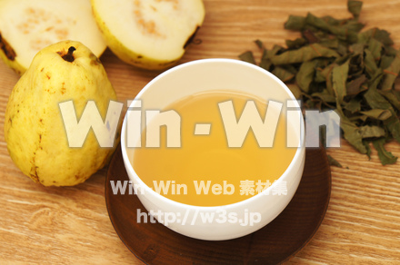 グァバ茶葉の写真素材 W-021139