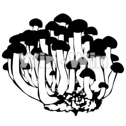 しめじのシルエット素材 W-020621