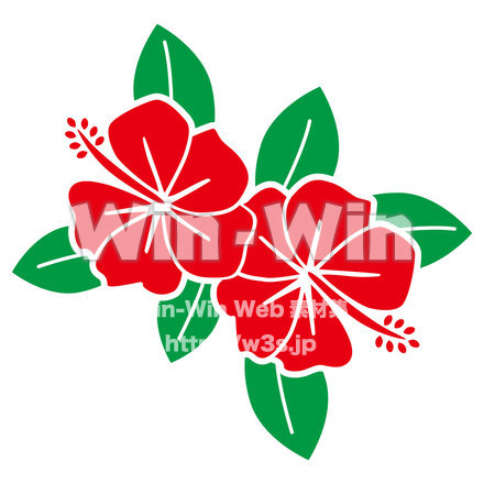 ハイビスカスのCG・イラスト素材 W-021936