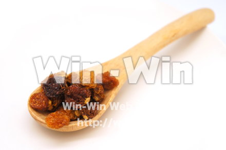 ゴールデンベリーの写真素材 W-021972