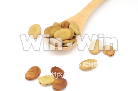 そらまめの写真素材 W-021079