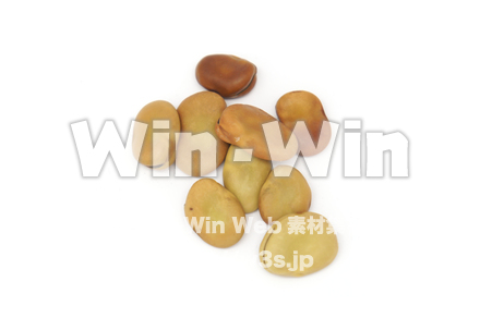 そらまめの写真素材 W-021074