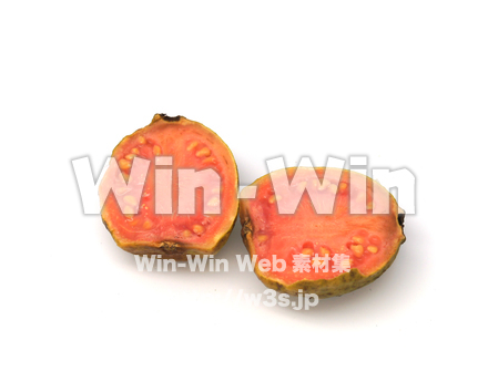 グアバの写真素材 W-021137