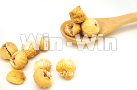 白いちじくの写真素材 W-021986