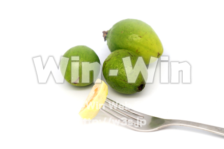 沖縄産グァバの写真素材 W-021120